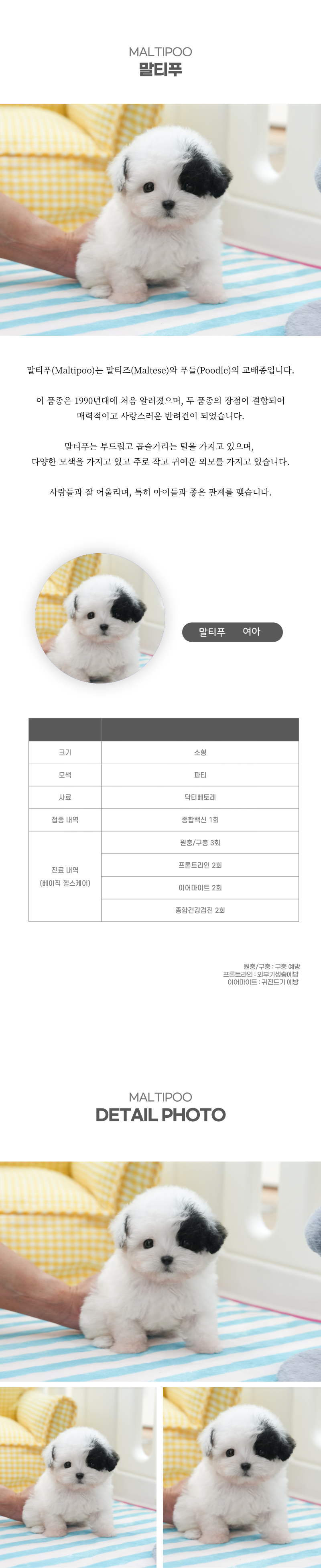 말티푸_상세이미지_2